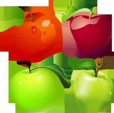 free vector apples downloads
