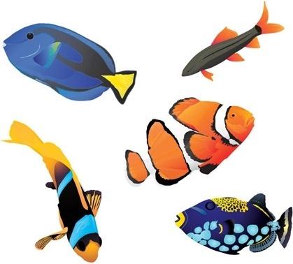 fishes icons collection realistic style design