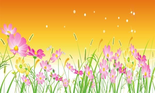 floral meadow background sky and colorful flowers design