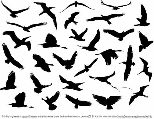 free vector flying birds silhouette