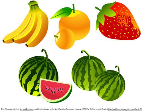 free vector fruit