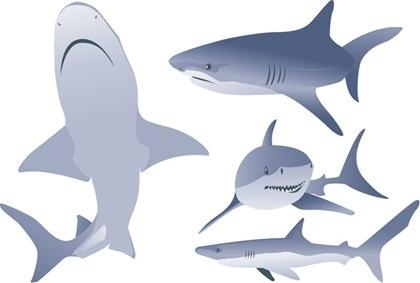 white shark icons collection various posture styles