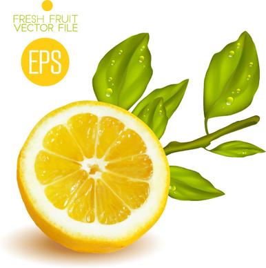 fresh cut lemon design vector