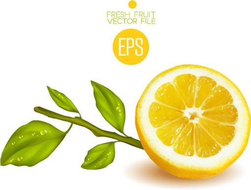 fresh cut lemon design vector