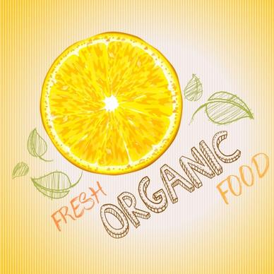 fresh food background handdrawn design lemon icon