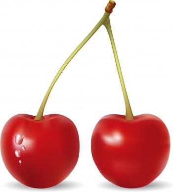 fresh fruit background cherry icon shiny modern realistic