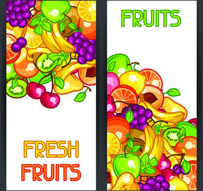 fresh fruit vertical banner vector