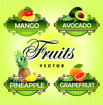 fresh fruits and vegetables labels vector