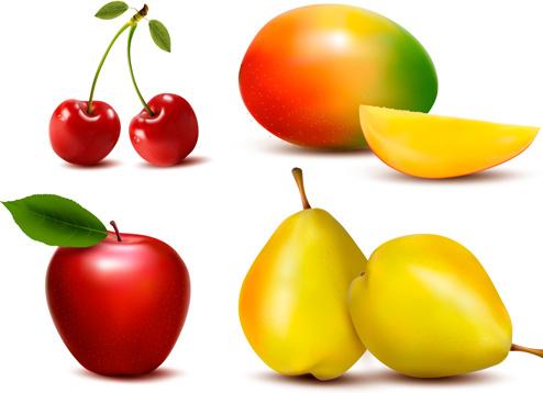 fresh fruits realistic vector