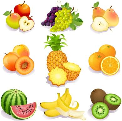 fresh fruits vector