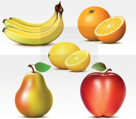 fresh fruits vector