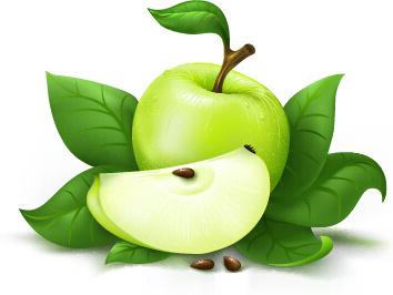 fresh green apple design vector
