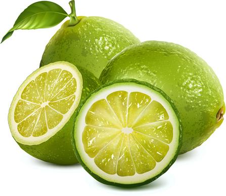 fresh lemon creative design vector