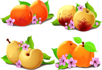 fresh pear and peach vector