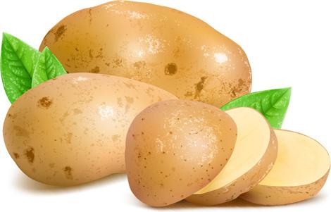 fresh potatoes and sliced vector