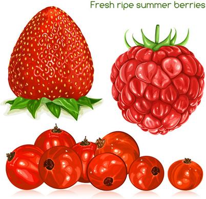 fresh ripe summer berries shiny vector