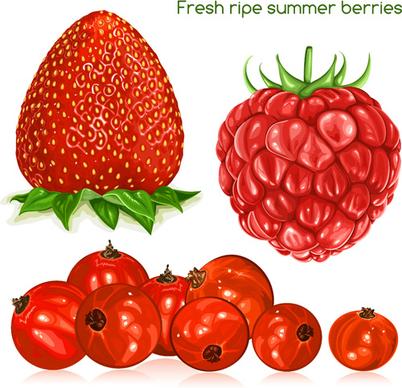 fresh ripe summer berries vector