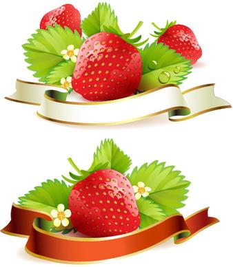 fresh strawberry elements background vector