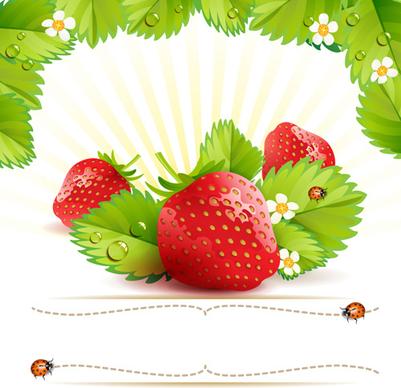 fresh strawberry vector