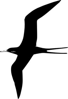 Frigate Bird clip art