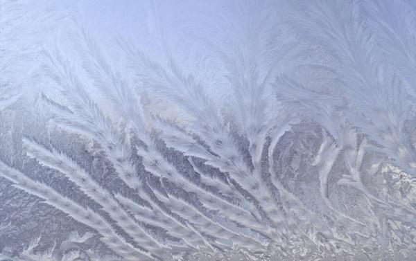 frost patterns winter frost