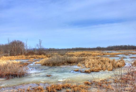 frozen marshes on the great river trail wisconsin