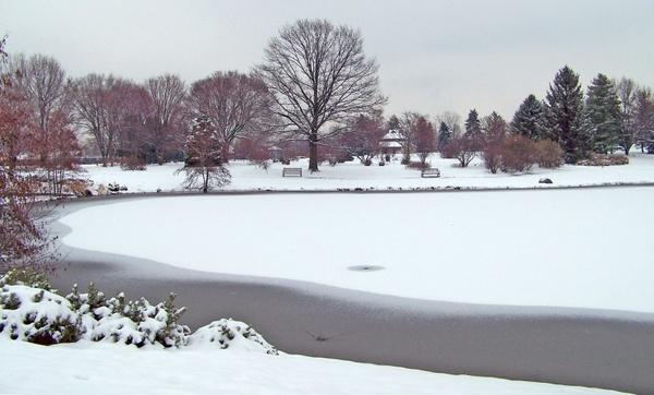 frozen pond winter