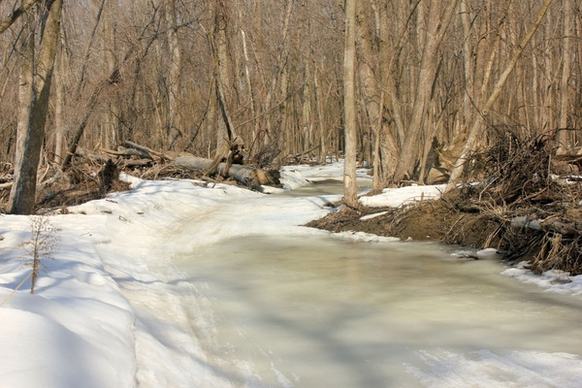 frozen water landscape at minnesota valley state park minnesota