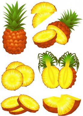 fruit 02 vector