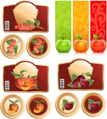 fruit and graphics vector