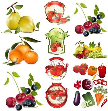 fruit and vegetable theme vector