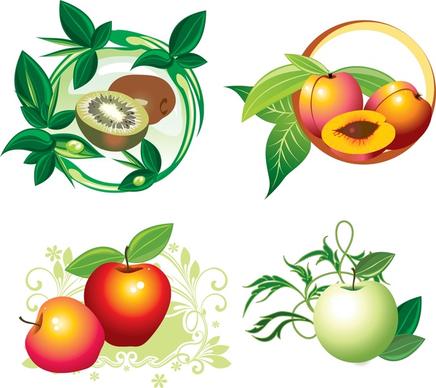 fruit designs vector