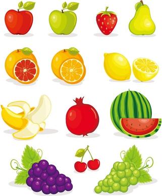 fruit pictures 02 vector