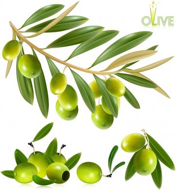 olive fruits background shiny green modern design
