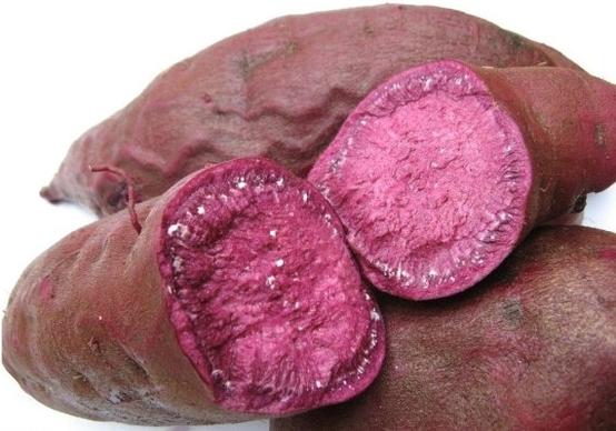 fruits and vegetables sd purple sweet potato 01