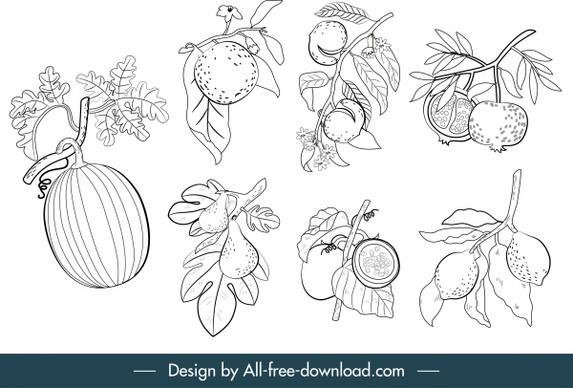 fruits icons black white classic handdrawn sketch