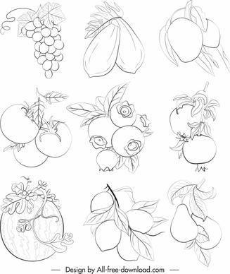 fruits icons black white handdrawn sketch