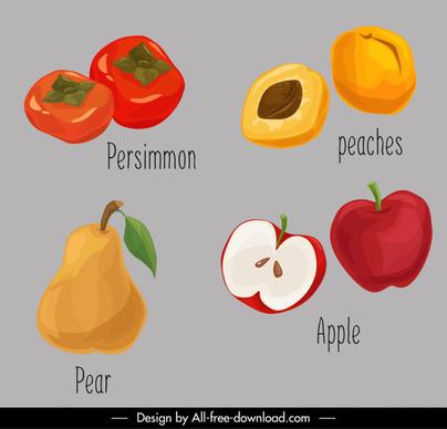 fruits icons colored retro handdrawn sketch
