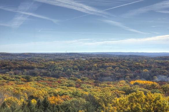 full view of the forest at lapham peak state park wisconsin