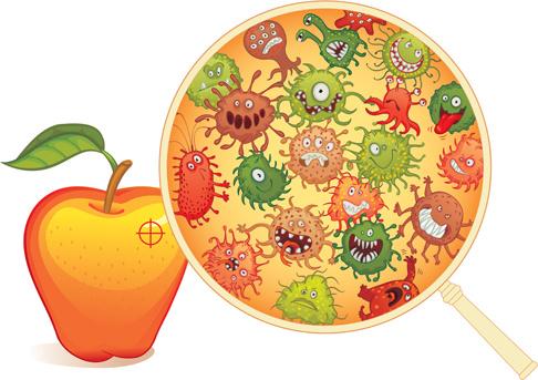 funny bacteria cartoon styles vector