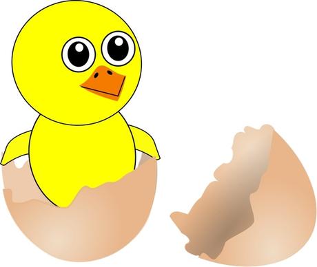 Funny Chick Cartoon Newborn Coming Out from the Egg