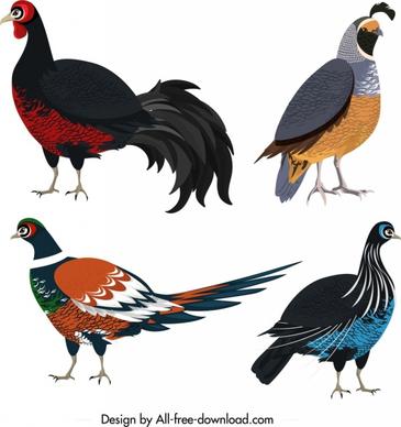 galliformes icons colored wild birds sketch