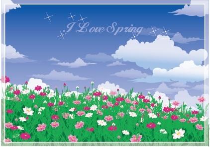 spring background colorful blooming flowers decor