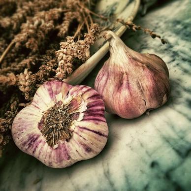garlic aromatic smell