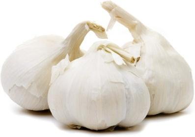 garlic hd picture 1