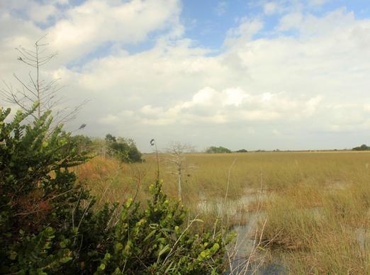 glades view at everglades national park florida