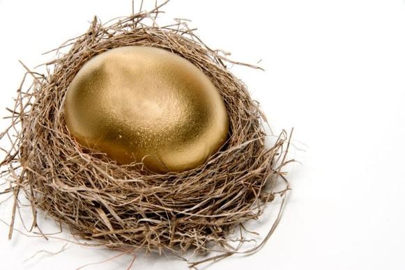 golden egg nest 03 hd picture