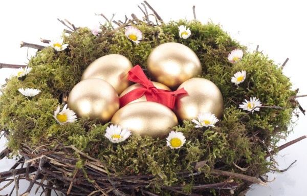 golden egg nest 04 hd picture