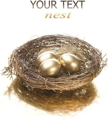 golden egg nest 05 hd pictures