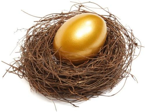 golden egg nest definition picture